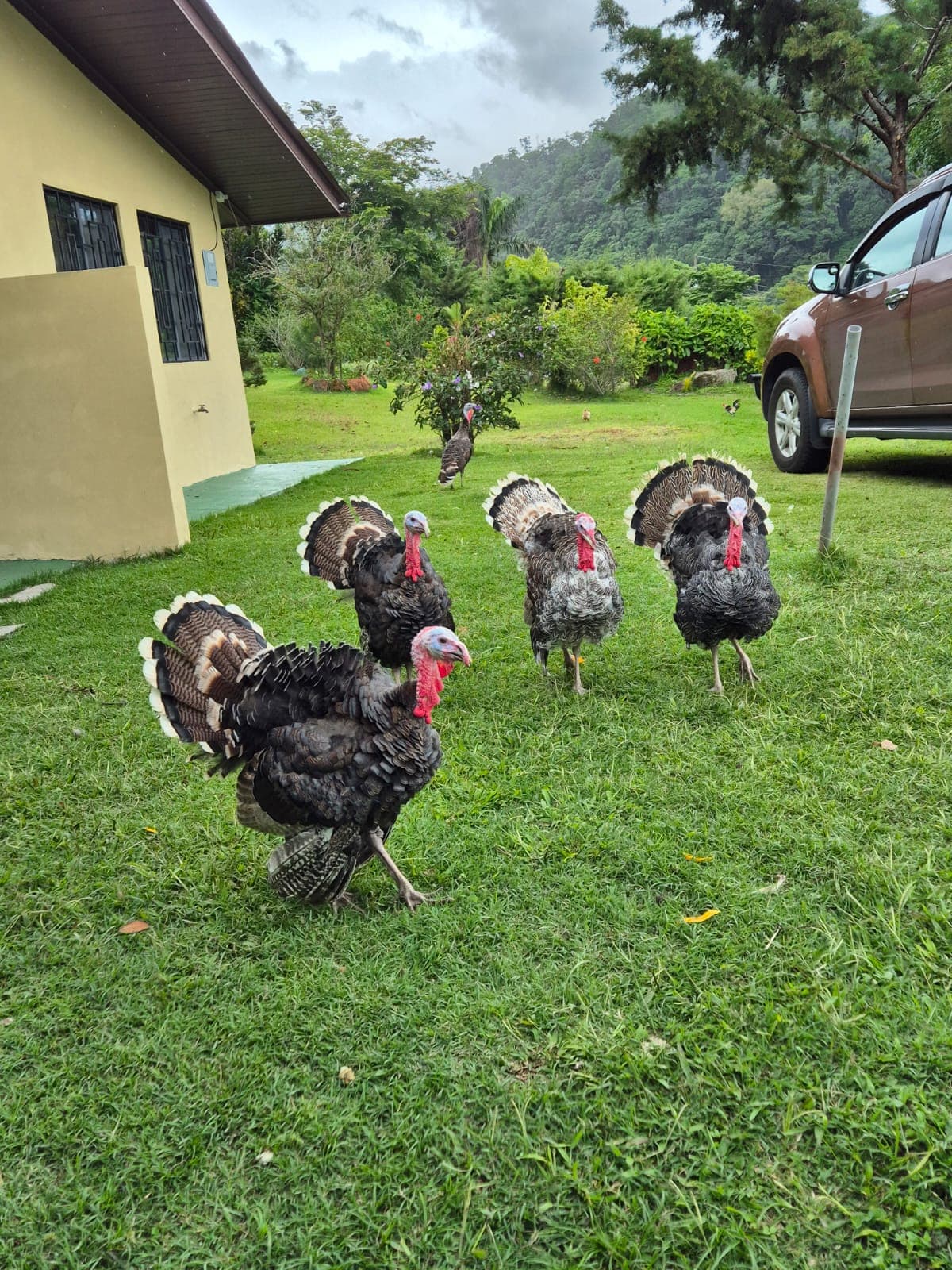 Foto de Senderos Amados 12